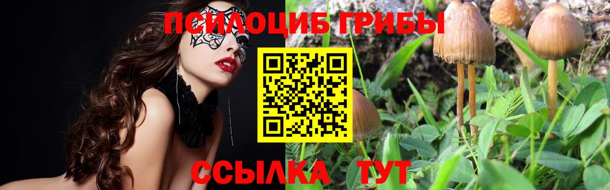 Псилоцибиновые грибы Magic Shrooms  Псилоцибиновые грибы Cubensis  Екатеринбург  Вход с VPN 
